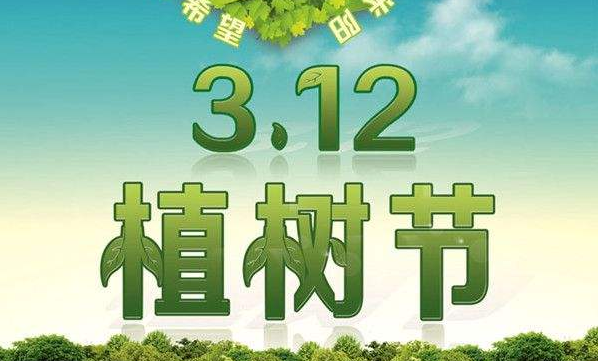 2016年环保植树公益行活动小记